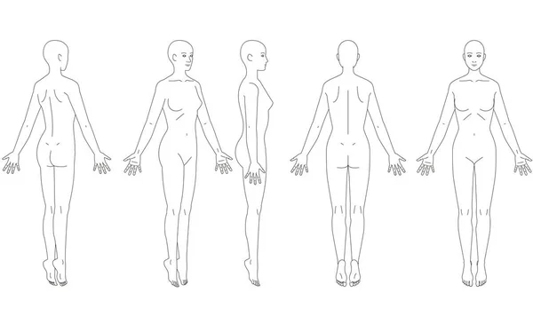 Ilustración Del Cuerpo Humano Esquema Una Mujer — Archivo Imágenes Vectoriales