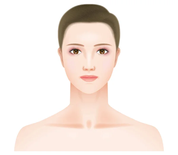 Visage Face Une Femme Maquillée — Image vectorielle