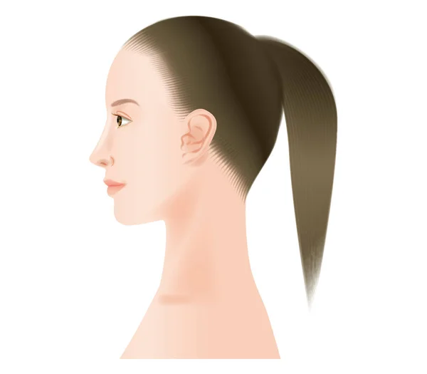 Perfil Una Mujer Sin Maquillaje — Vector de stock