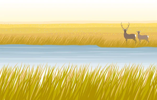 Autumn marsh and deer couple