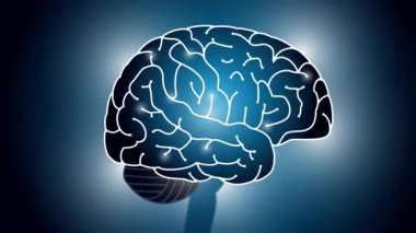 Yan beyin görüntüsü. Video materyali. 