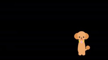 A character spoken by a sitting toy poodle dog. Video material 