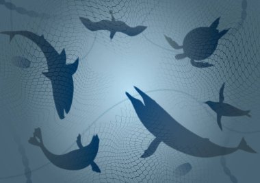 Deniz kirliliği. Balıkçılık malzemelerinin neden olduğu denizlerin çevresel tahribatı ve canlılar için tehlike