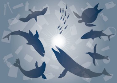 Deniz kirliliği. Plastiklerin neden olduğu denizlerin çevresel tahribatı ve canlılar için tehlike