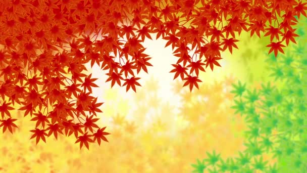 Acero Autunnale Giapponese Acero Rosso Foglie Gialle Illustrazione Video — Video Stock