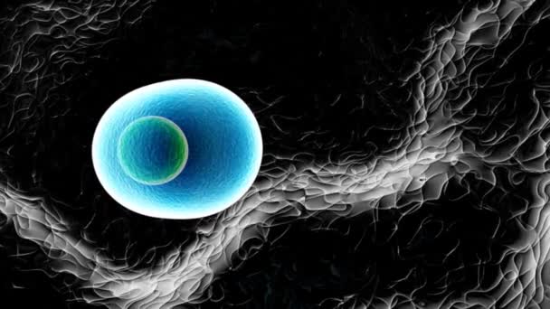 molécules activité animation 3d