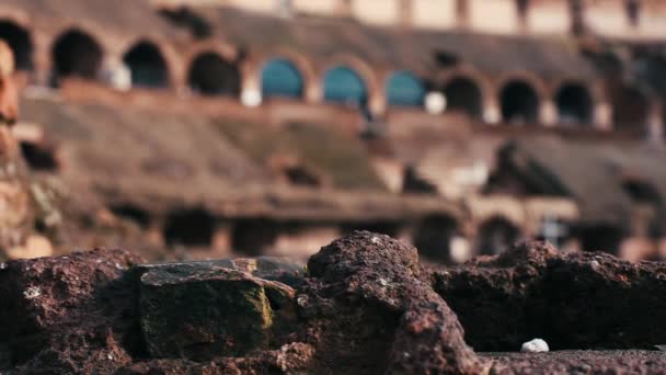 Ancient Colosseum Rome — Stock Video