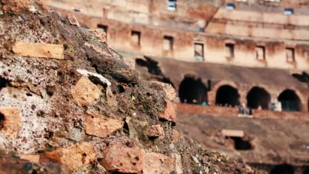 Roma Koloseum Kuno — Stok Video