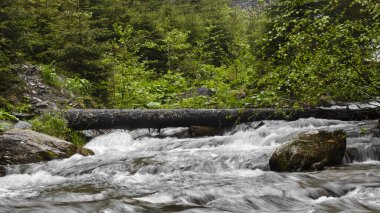Nehrin üzerinde uzun pozlama günlüğü