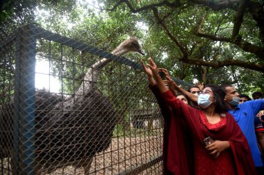Bangladeş 'teki Covid-19 salgınının ardından 3 Kasım 2020' de Bangladeş 'teki Bangladeş Ulusal Hayvanat Bahçesi' ne yapılan ziyaretler sırasında maske takan insanlar