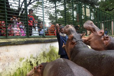 Bangladeş 'teki Covid-19 salgınının ardından 3 Kasım 2020' de Bangladeş 'teki Bangladeş Ulusal Hayvanat Bahçesi' ne yapılan ziyaretler sırasında maske takan insanlar