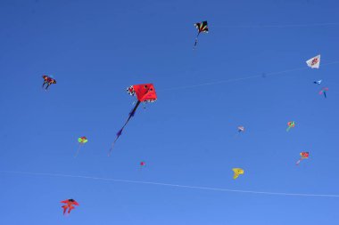 Bangladeş 'teki Coxs Bazar plajındaki Uçurtma Festivali' nde katılımcı renkli uçurtmalar. 1 Şubat 2019 'da Bangladeş Kite Federasyonu tarafından Bangladeş' in başkenti Cox 's Bazar' da düzenlenen Ulusal Uçurtma Festivali 2019. 