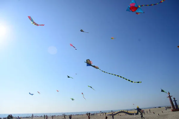 Participant Volant Cerfs Volants Colorés Sur Événement Kite Festival Coxs — Photo