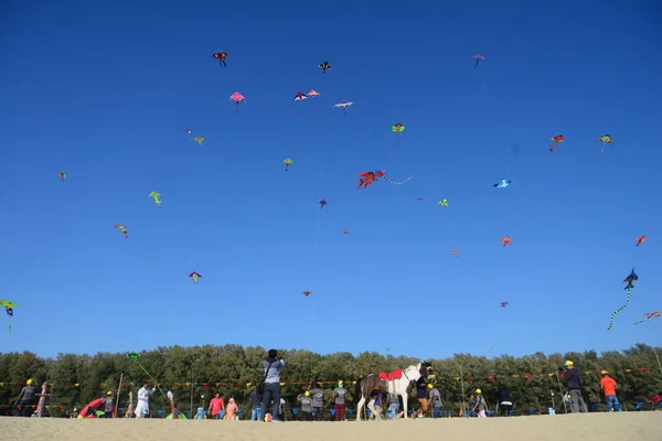 Deelnemer Vliegende Kleurrijke Vliegers Het Kite Festival Evenement Coxs Bazar — Stockfoto