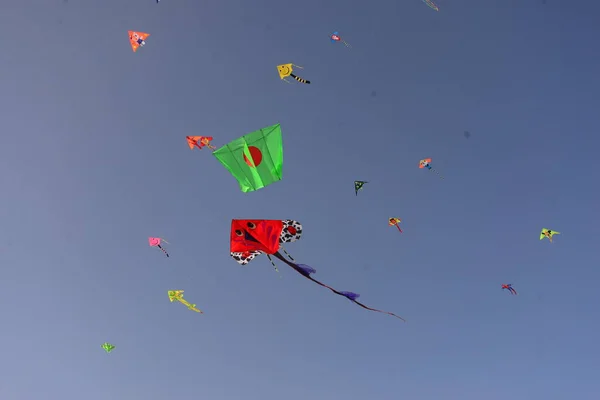 Participant Flying Colorful Kites Kite Festival Event Coxs Bazar Beach — Stock Photo, Image