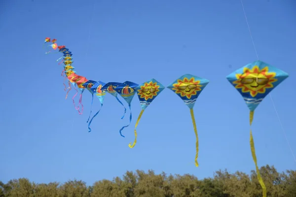 Συμμετέχων Που Φέρουν Πολύχρωμους Χαρταετούς Στην Εκδήλωση Kite Festival Στην — Φωτογραφία Αρχείου