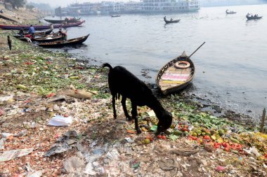 29 Ocak 2021 'de Dhaka, Bangladeş' teki Buriganga Nehri 'ne atılan insan atığının su kirliliği. 
