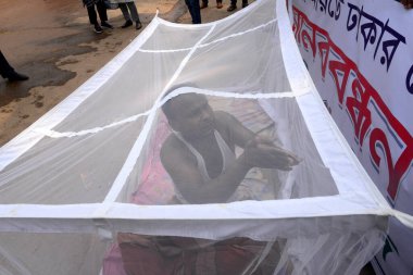 Sosyal aktivistler, 12 Mart 2021 'de Bangladeş' in Dhaka kentindeki Ulusal Basın Kulübü 'nün önündeki sivrisineklerin dayanılmaz istilasından başkent halkını korumak için sivrisinek ağıyla bir protesto gösterisi düzenlediler..