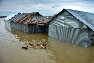 5 Eylül 2021 'de Bangladeş' in Bogra İlçesi 'nde köylülerin evi sel sularıyla çevriliyken görüldü..