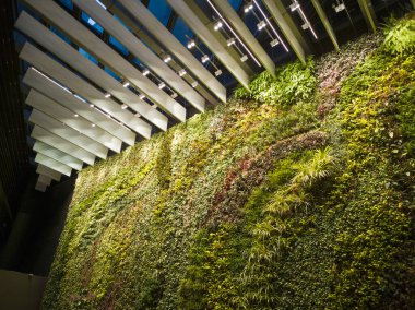 Section of a vertically installed low maintenance wallscape with beautiful natural greenery wall art using office biophilic design in a huge office tower
