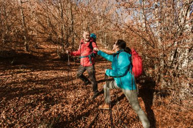 Olgun Çift Orman Yolu 'nda Birlikte Yürüyüş