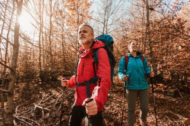 Olgun Çift Orman Yolu 'nda Birlikte Yürüyüş