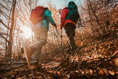 Olgun Çift Orman Yolu 'nda Birlikte Yürüyüş