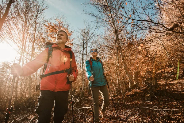 Casal Maduro Caminhadas Longo Caminho Floresta Juntos — Fotografia de Stock