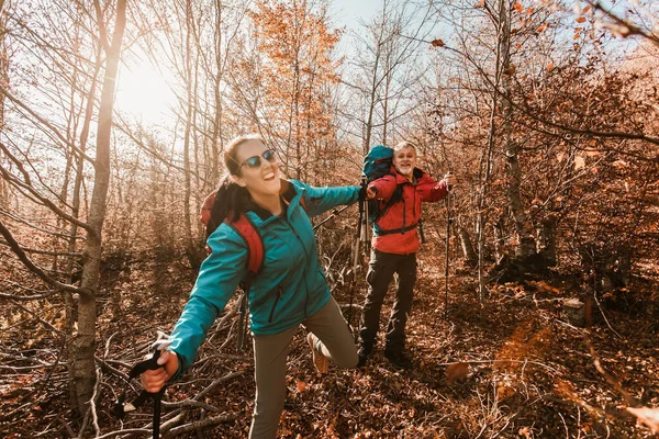 Älteres Paar Wandert Gemeinsam Auf Waldweg — Stockfoto