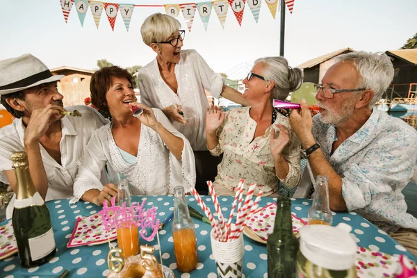 Senioren Feiern Geburtstag Hütte Fluss Und Haben Spaß — Stockfoto