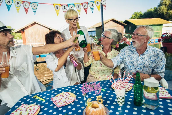 Seniorengruppe Feiert Geburtstag Junggebliebene — Stockfoto