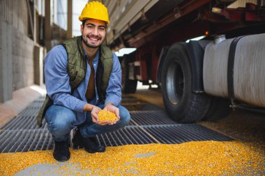 Genç tarım işçisi mısır boşaltma sahasında duruyor, elinde bir avuç mısır çekirdeği var, hasat kalitesini denetliyor..