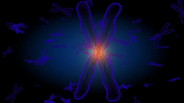 Хромосома X — стокове фото