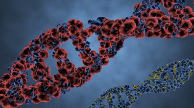 DNA'ın sarmal