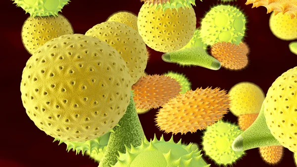 Various types of pollen — Stock Photo, Image