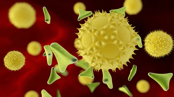 Två typer av pollen — Stockfoto