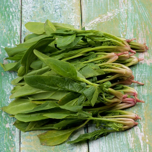 Raw Spinach Leafs — Stock Photo, Image