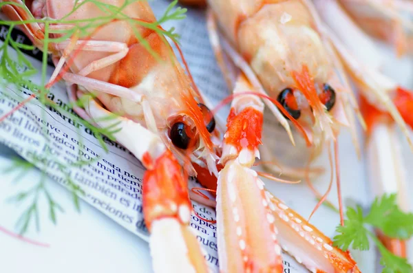 Deliciosos Langoustines crudos — Foto de Stock