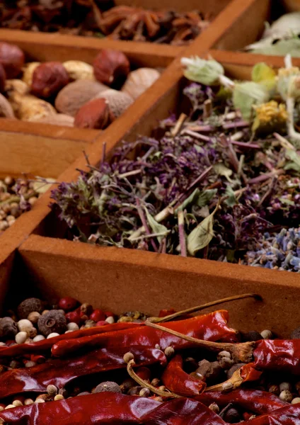 Spices in Wooden Box — Stock Photo, Image