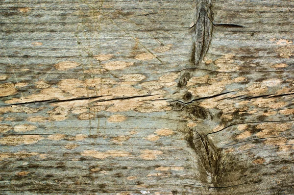 갈라진된 나무 배경 — 스톡 사진