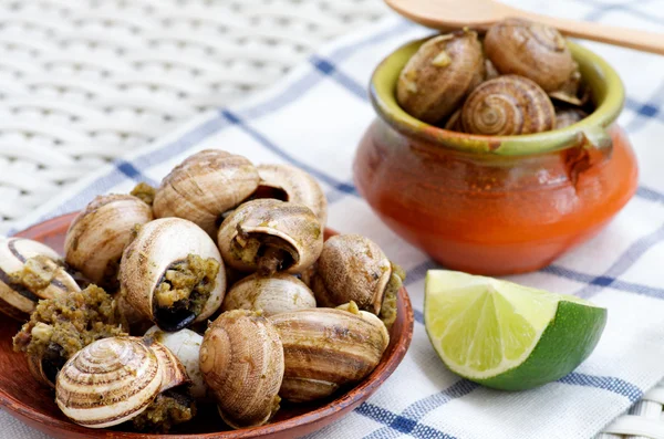 Snails with Garlic Butter — Stock Photo, Image