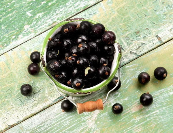 Blackcurrant taze meyveler — Stok fotoğraf