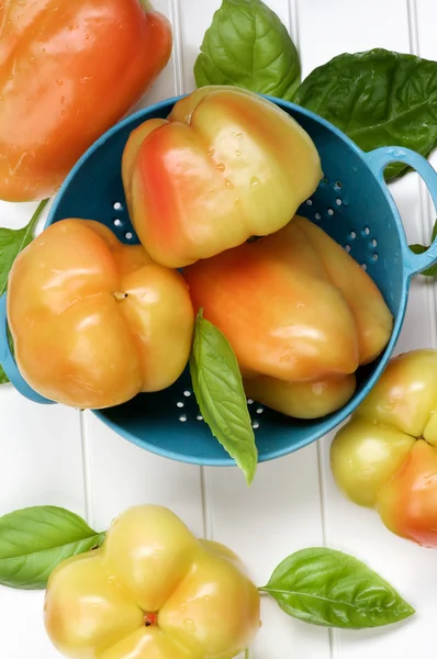 Gelbe und orangefarbene Paprika — Stockfoto