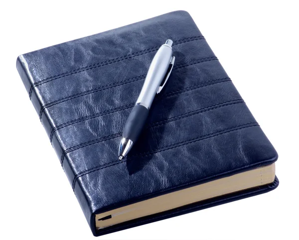 Journal et stylo en cuir Photo De Stock