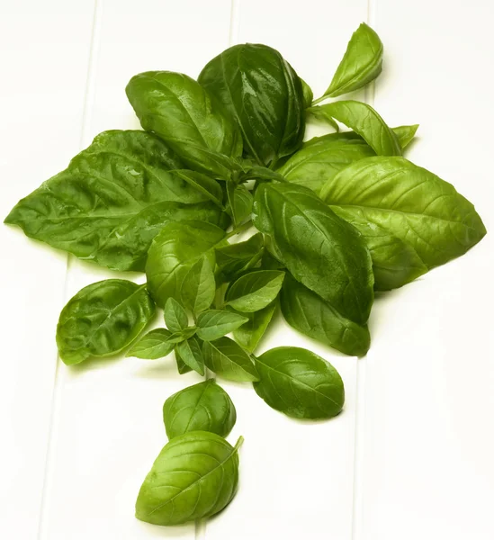 Fresh Basil Leafs — Stock Photo, Image