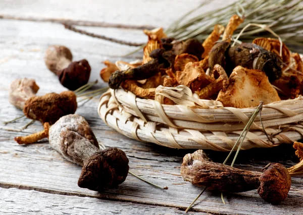 Arrangement des champignons séchés Photos De Stock Libres De Droits