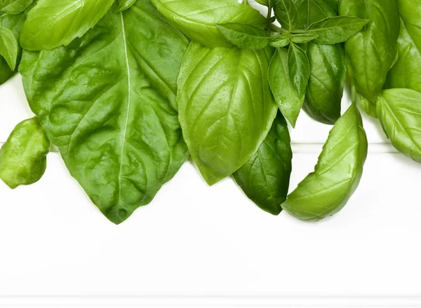 Frame of Basil Leafs — Stok Foto