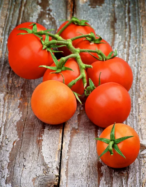 Kirschtomaten — Stockfoto