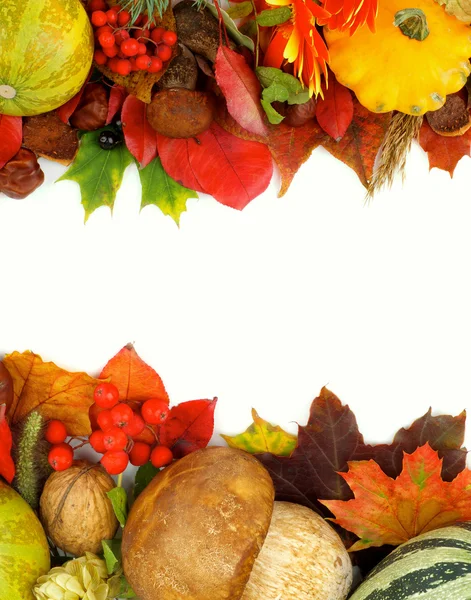 Autumn Frames — Stock Image Autumn Frames Royalty Free Stock Photos