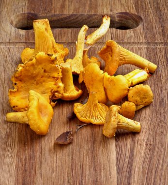 taze çiğ chanterelles 